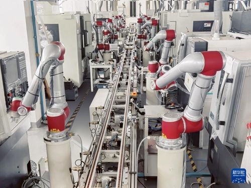 444rrr8X8XCOM域名查询wwwcom